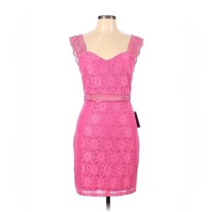 NSR Pink Lace Mini Dress